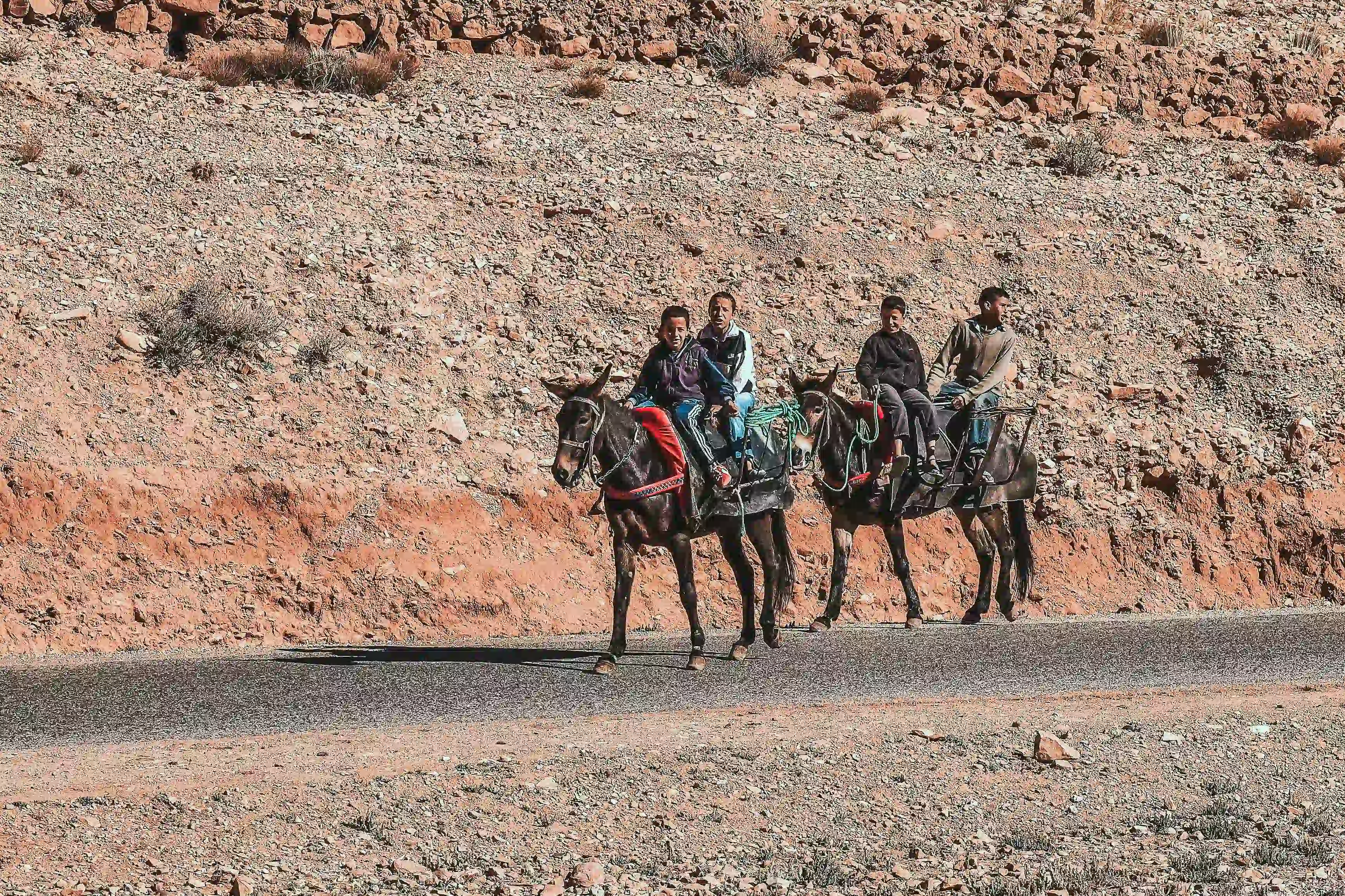 Moroccans on horses on the road