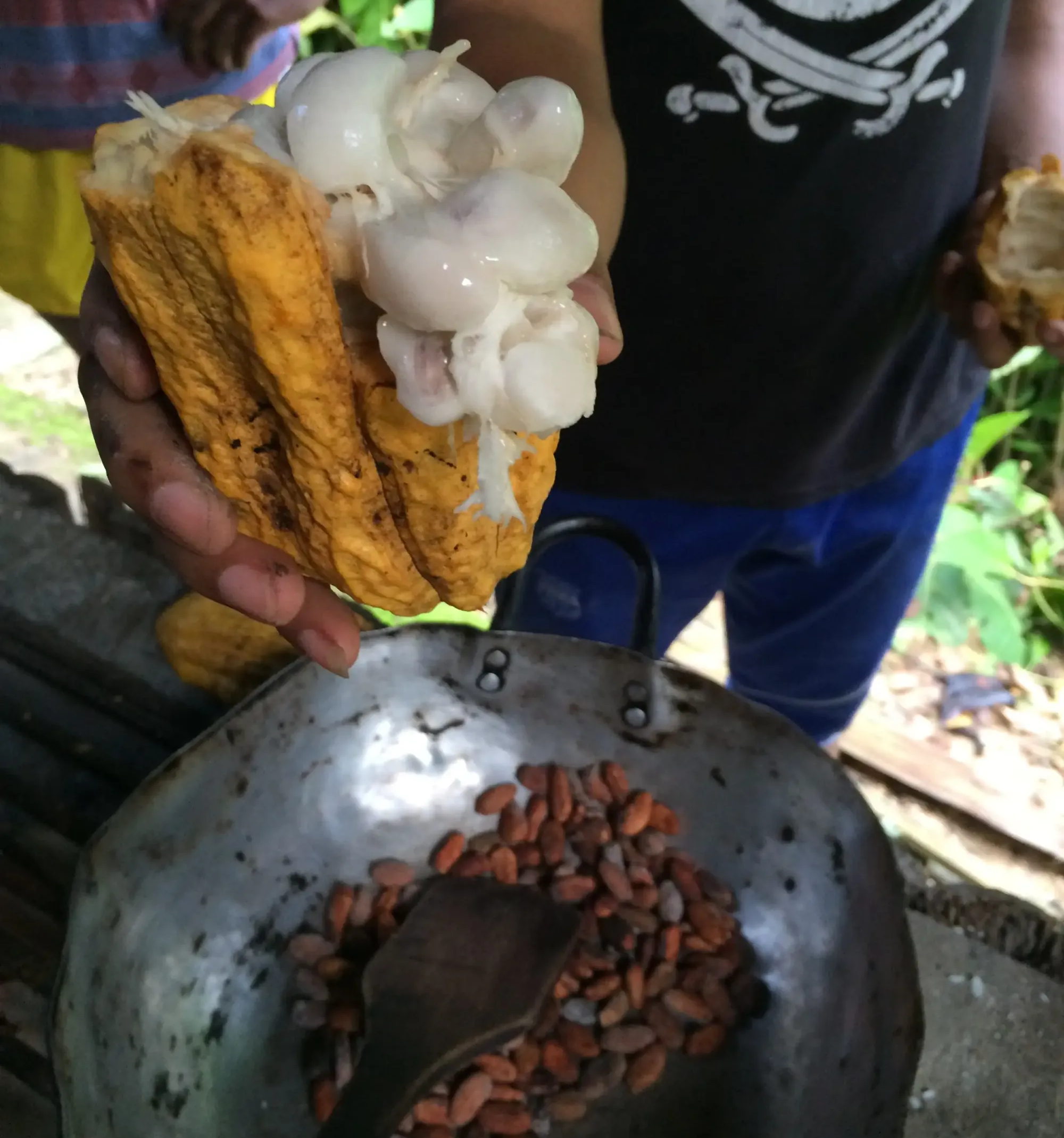 A cooking class in the Amazon Rainforest which involved making chocolate from a cacao pod.