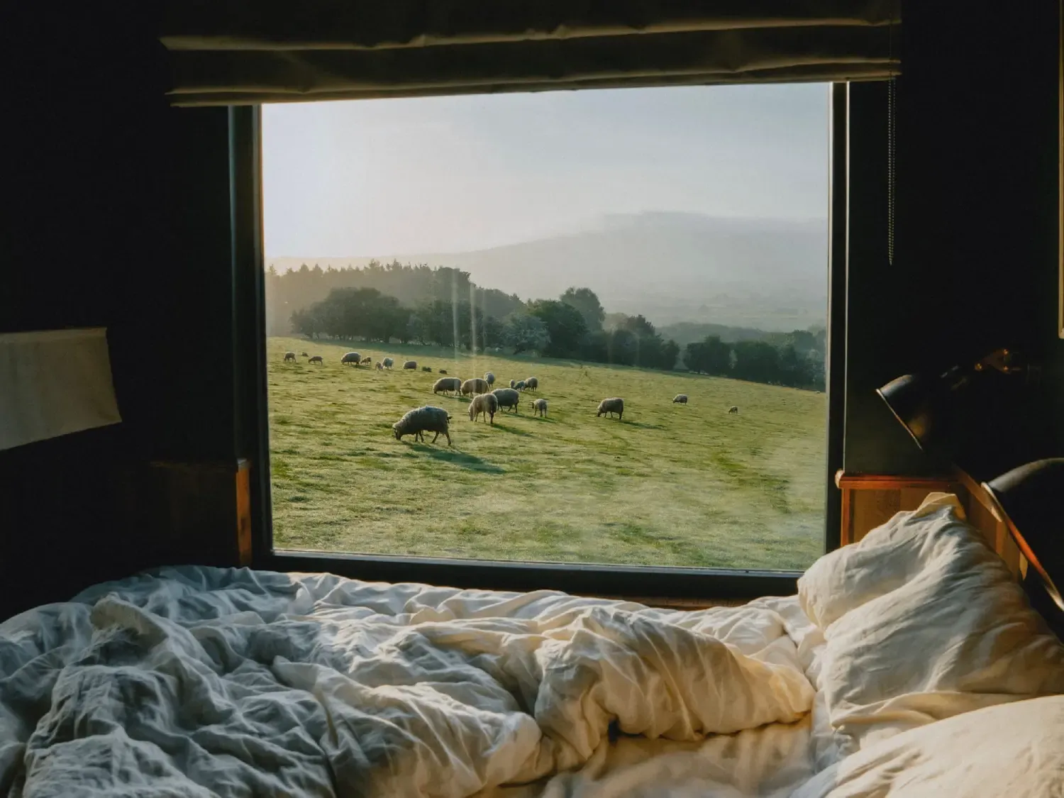 Unmade bed at Rest + Wild overlooking sheep grazing in field.