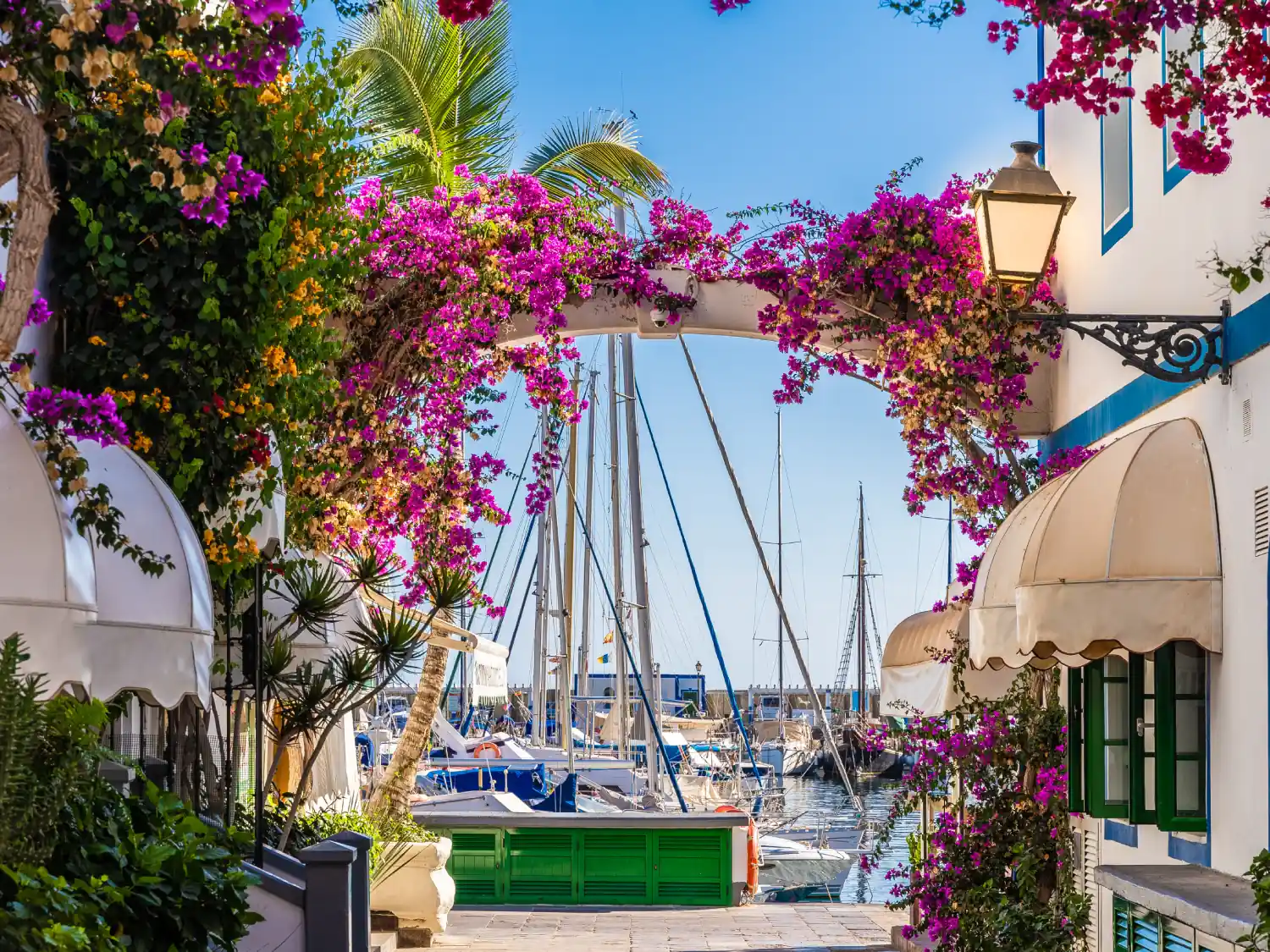 Flower covered archway with view of the marina in Puerto de Mogan, Gran Canaria, Spain.