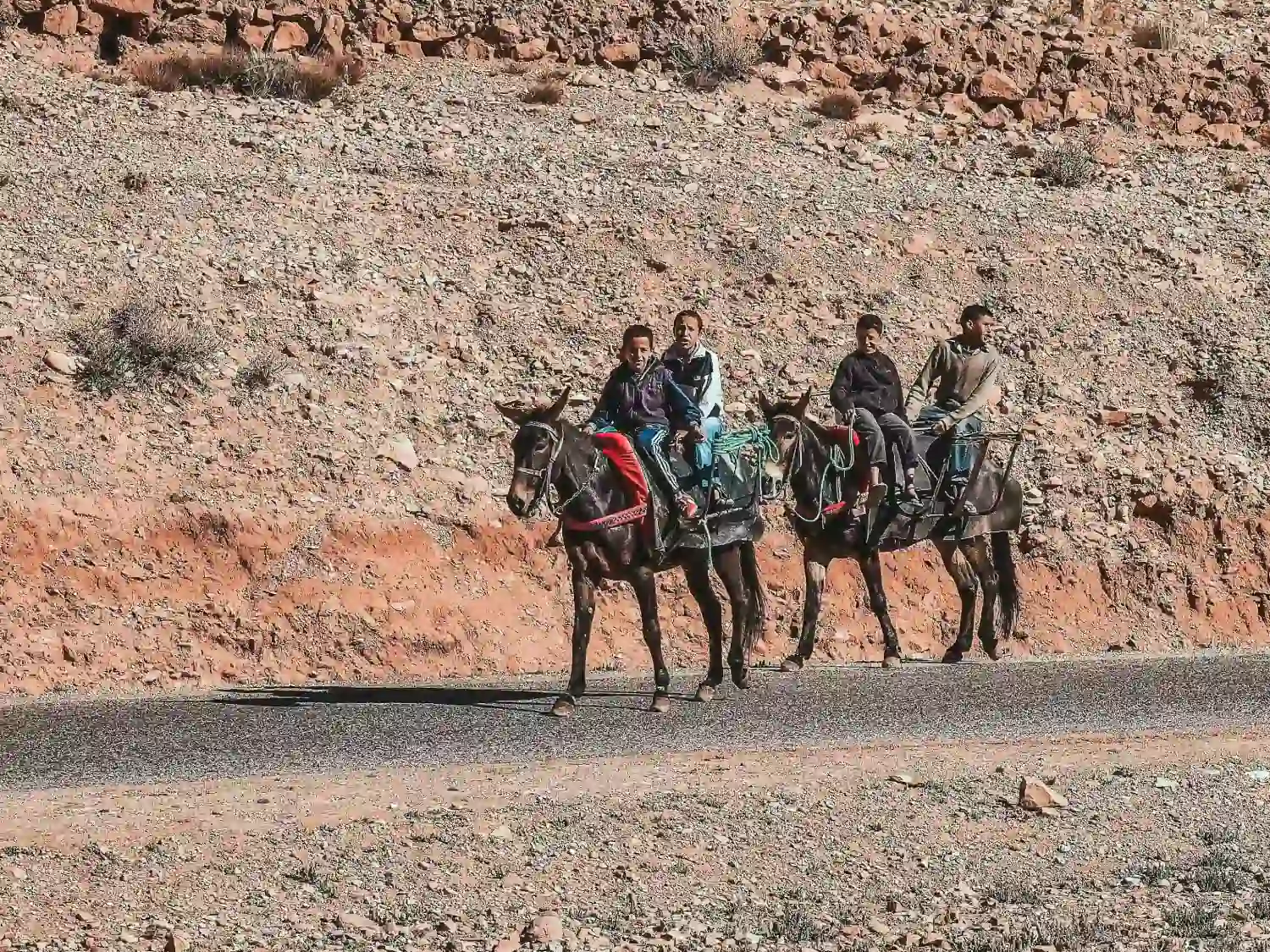 Moroccans on horses on the road